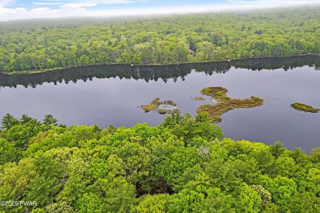 191 Water View Dr, Hawley, PA 18428 - aerial view of a forest and a large body of water