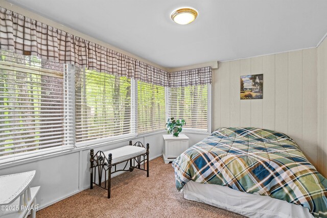 191 Water View Dr, Hawley, PA 18428 - bedroom with carpet