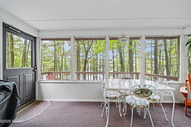 191 Water View Dr, Hawley, PA 18428 - sunroom / solarium with carpet flooring and baseboards