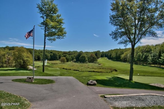 view of property's community featuring a lawn and golf course view