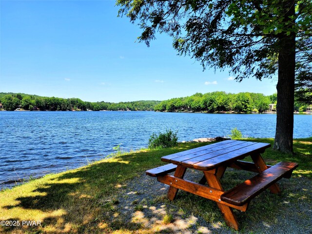 water view featuring a forest