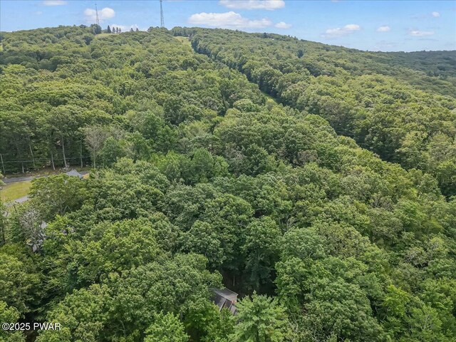 153 Paper Birch N, Tafton, PA 18464 - photo 30