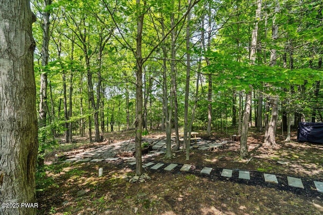 29 Hirshorn Dr, Newfoundland, PA 18445 - view of woods