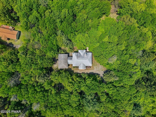 29 Hirshorn Dr, Newfoundland, PA 18445 - aerial view of property's location with a forest