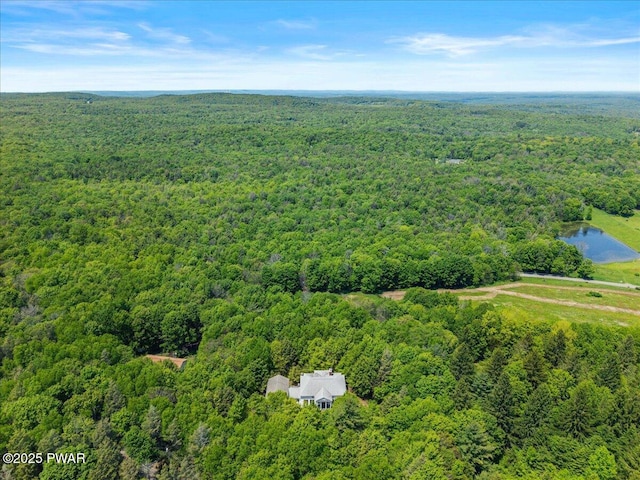 29 Hirshorn Dr, Newfoundland, PA 18445 - bird's eye view of a heavily wooded area and a large body of water