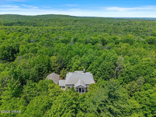29 Hirshorn Dr, Newfoundland, PA 18445 - view of subject property featuring a heavily wooded area