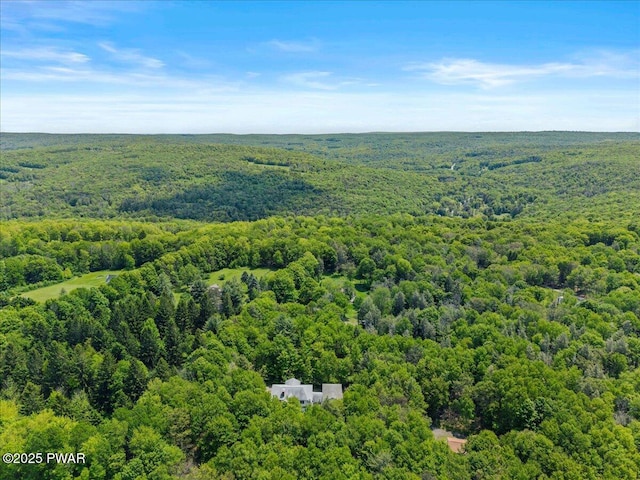 29 Hirshorn Dr, Newfoundland, PA 18445 - drone / aerial view of a heavily wooded area