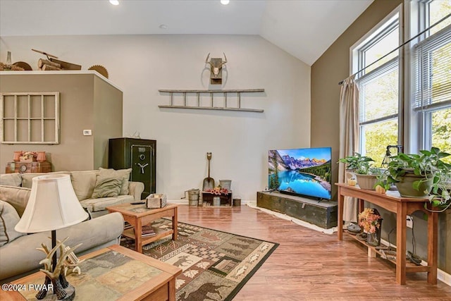 living room featuring hardwood / wood-style flooring and vaulted ceiling