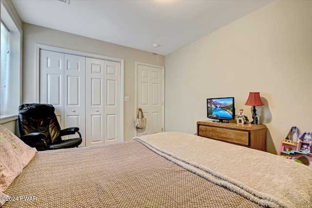 bedroom with a closet