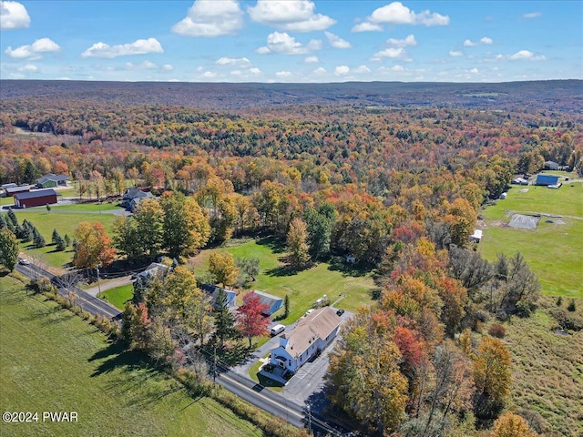 drone / aerial view