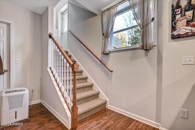 staircase featuring wood-type flooring