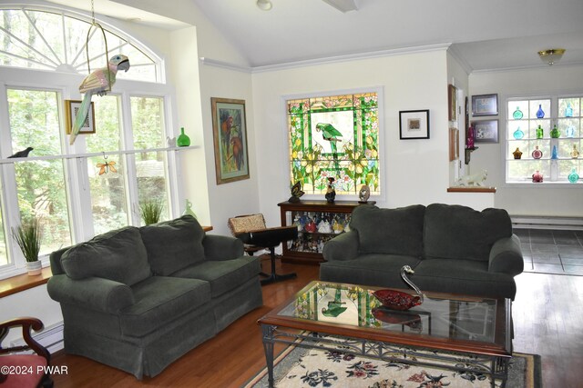 living room featuring hardwood / wood-style floors, a healthy amount of sunlight, lofted ceiling, and a baseboard heating unit