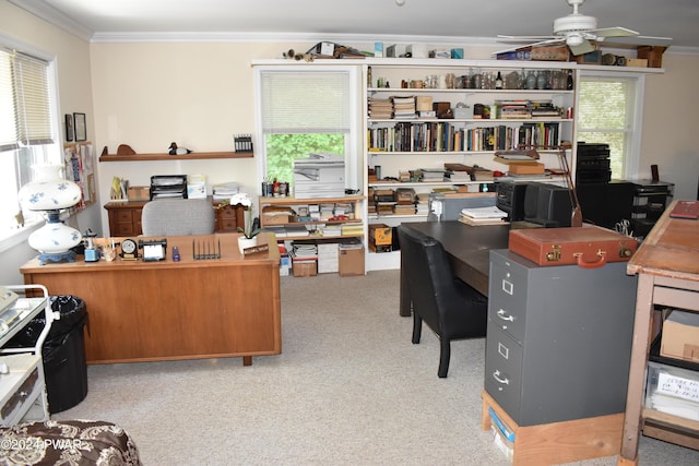 carpeted home office featuring crown molding and ceiling fan