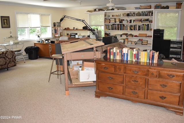 office featuring light colored carpet, ceiling fan, and crown molding