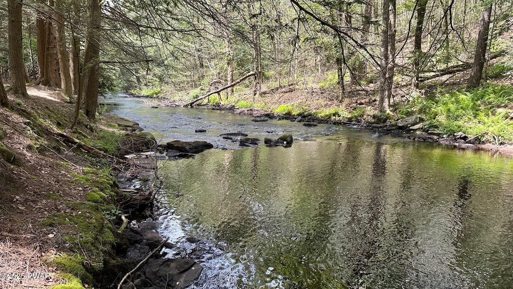 Lehigh River Ct, Gouldsboro, PA 18424 - photo 1