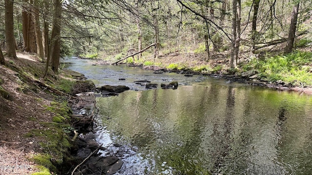Lehigh River Ct, Gouldsboro, PA 18424 - photo 1