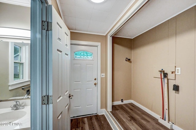 doorway to outside featuring dark hardwood / wood-style floors, ornamental molding, and sink