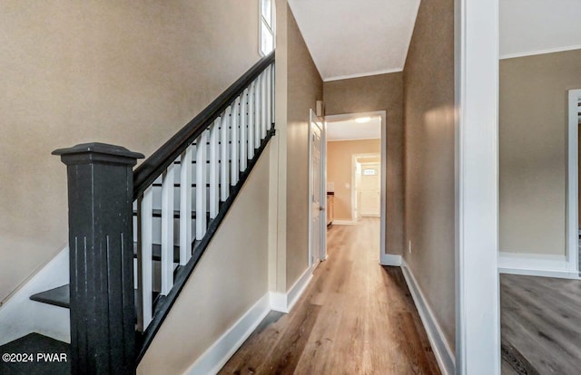 staircase featuring crown molding and hardwood / wood-style floors