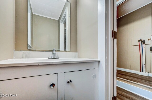 bathroom with vanity and wood-type flooring