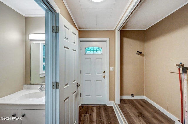 doorway to outside featuring sink, dark hardwood / wood-style floors, and ornamental molding