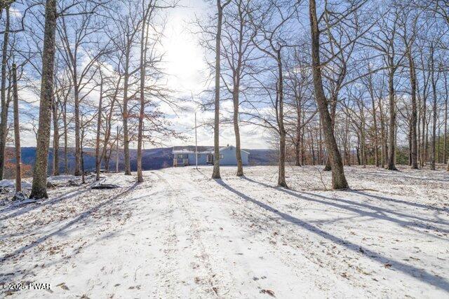110 Mountainview Rd, Lackawaxen, PA 18425 - photo 7