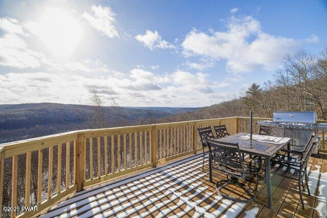 110 Mountainview Rd, Lackawaxen, PA 18425 - photo 2