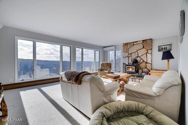 living room with a wood stove