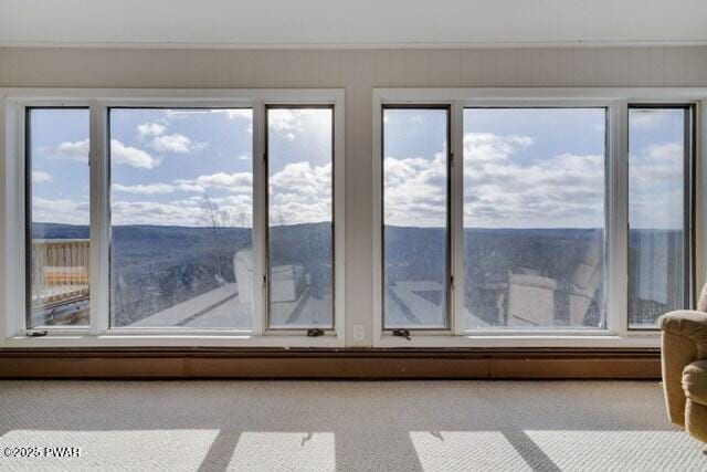 interior space featuring carpet flooring and a baseboard heating unit