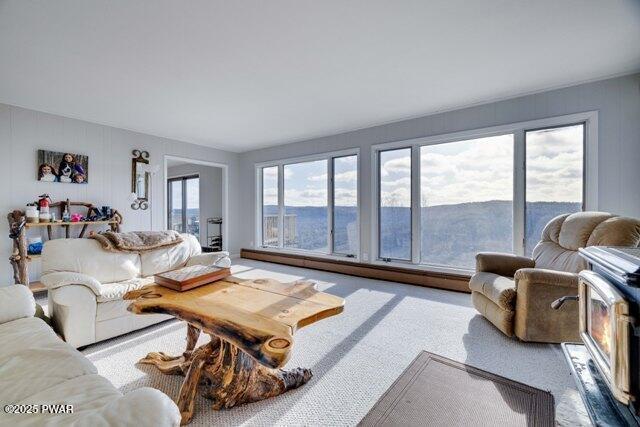 living room with carpet flooring, a healthy amount of sunlight, and a baseboard radiator