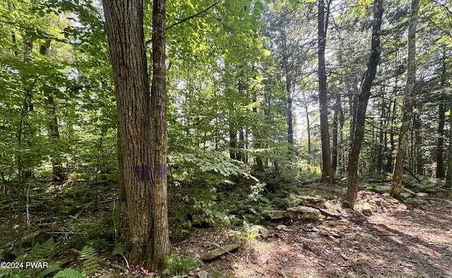 Grange Rd, Honesdale, PA 18431