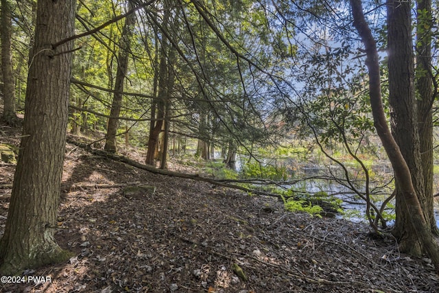 Grange Rd, Honesdale, PA 18431