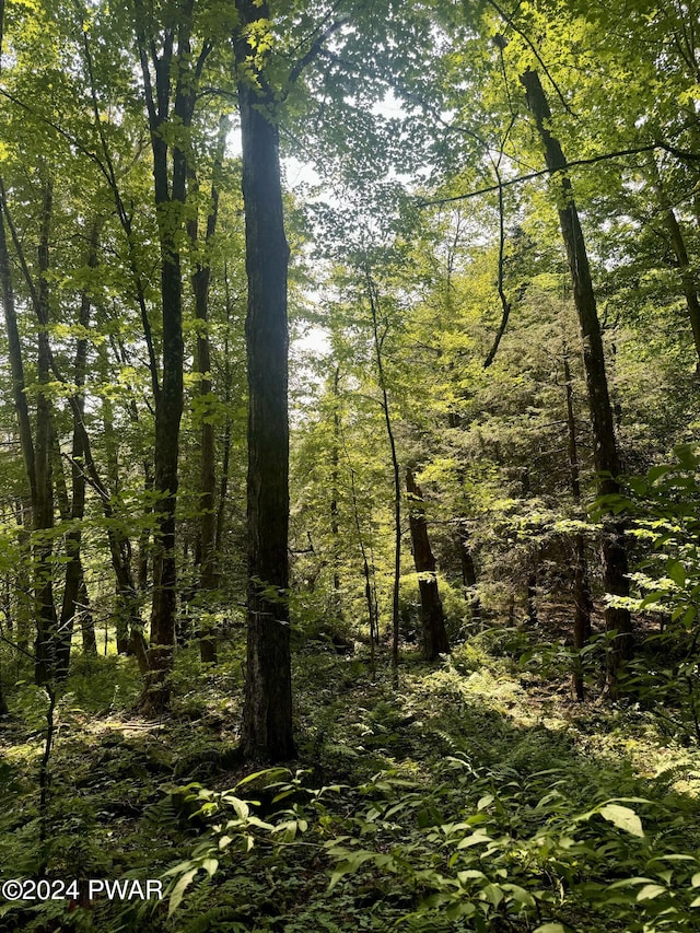 Grange Rd, Honesdale, PA 18431