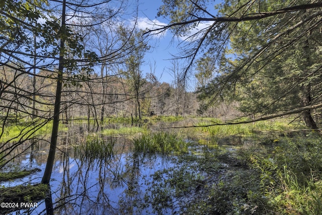 Grange Rd, Honesdale, PA 18431