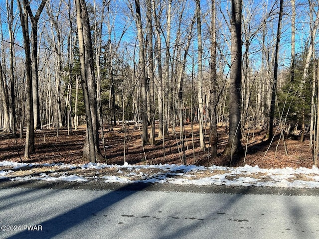 Listing photo 3 for LOT726 Paper Birch N, Tafton PA 18464