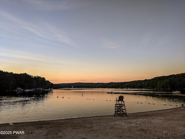 77 Brookfield Rd, Lake Ariel, PA 18436 - water view with a forest