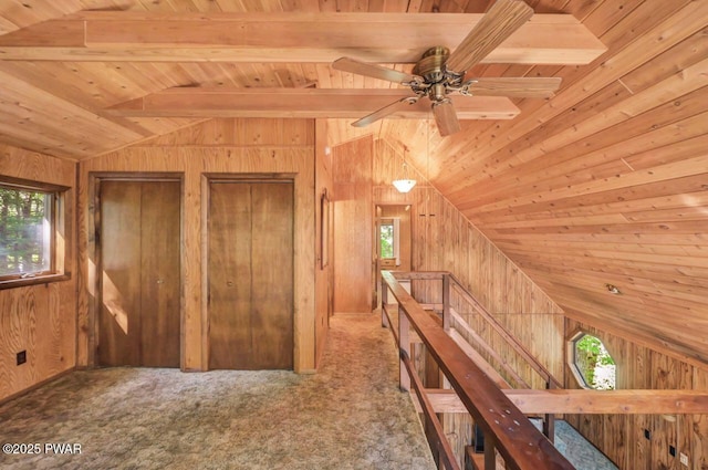 77 Brookfield Rd, Lake Ariel, PA 18436 - hall with an upstairs landing, wood ceiling, healthy amount of natural light, wooden walls, and carpet