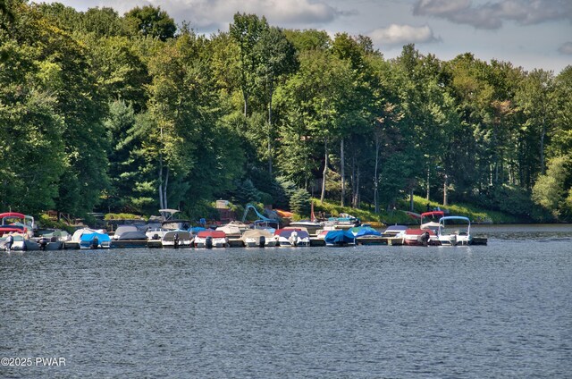 77 Brookfield Rd, Lake Ariel, PA 18436 - water view featuring a dock and a heavily wooded area