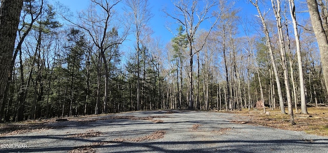 LOT85 Perry Pond Rd, Narrowsburg, Ny, NY 12764