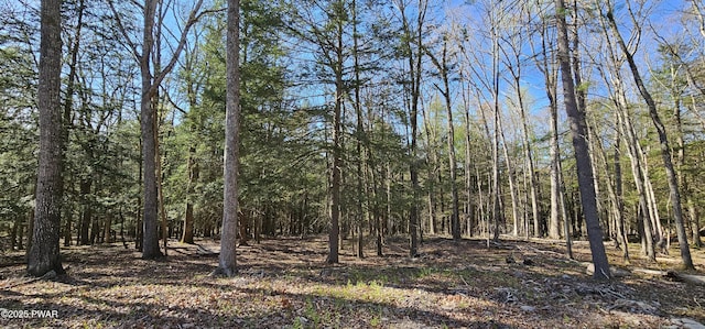 LOT85 Perry Pond Rd, Narrowsburg, Ny, NY 12764