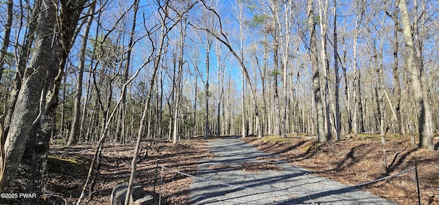 LOT85 Perry Pond Rd, Narrowsburg, Ny, NY 12764