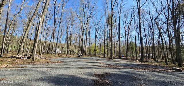LOT85 Perry Pond Rd, Narrowsburg, Ny, NY 12764