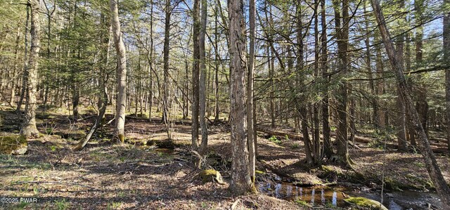 LOT85 Perry Pond Rd, Narrowsburg, Ny, NY 12764