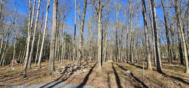 LOT85 Perry Pond Rd, Narrowsburg, Ny, NY 12764
