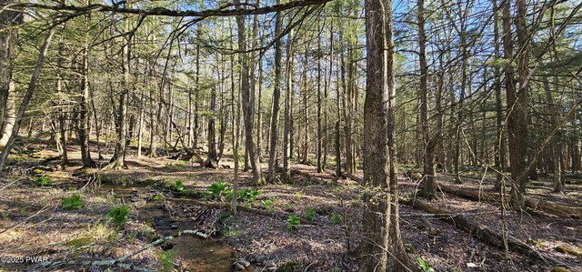 LOT85 Perry Pond Rd, Narrowsburg, Ny, NY 12764