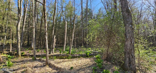 LOT85 Perry Pond Rd, Narrowsburg, Ny, NY 12764