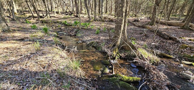 LOT85 Perry Pond Rd, Narrowsburg, Ny, NY 12764