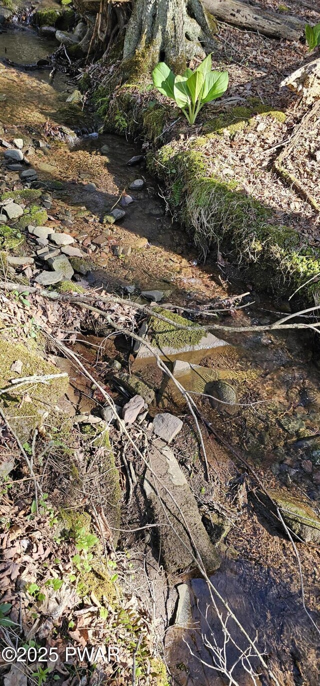LOT85 Perry Pond Rd, Narrowsburg, Ny, NY 12764