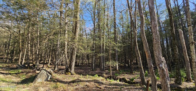 LOT85 Perry Pond Rd, Narrowsburg, Ny, NY 12764