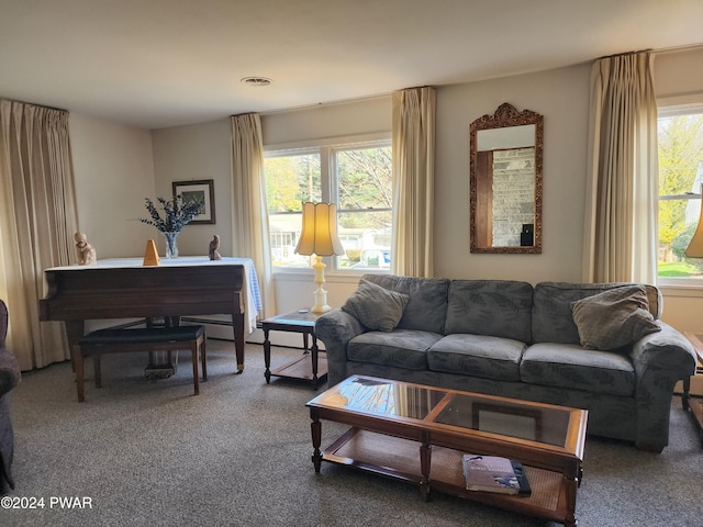 living room featuring dark carpet