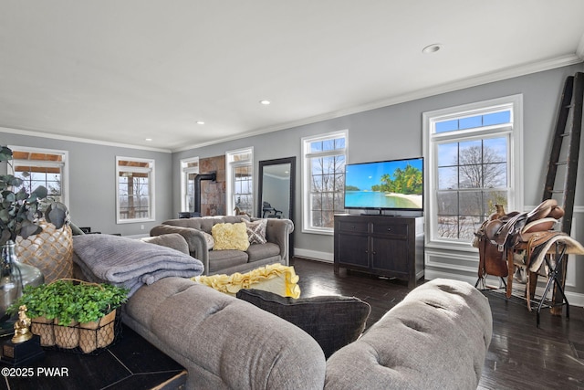 living room with dark wood-type flooring and ornamental molding